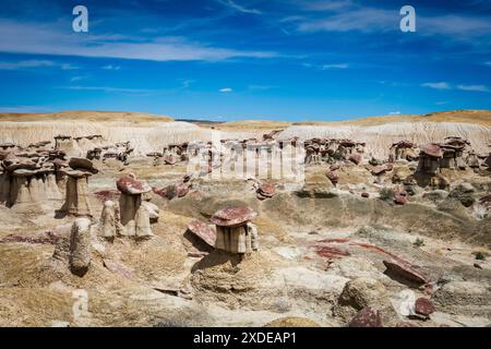 Typische Hoodoos in der AH shi sle pah Wildnis Stockfoto