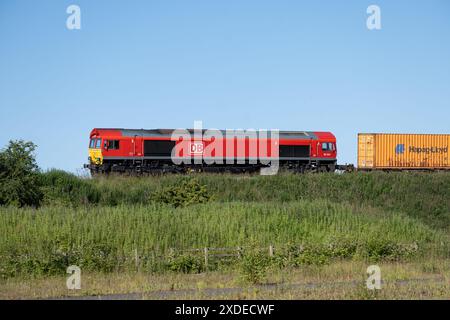 Diesellokomotive der Baureihe 66 der DB Nr. 66244 mit freightliner-Zug, Hatton Bank, Warwickshire, Großbritannien Stockfoto