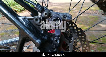 Shimano XTR Hydraulische Scheibenbremse für eine leistungsstarke Bremssteuerung in einem Mountainbike-Profi Stockfoto