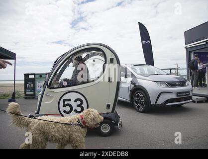 EDF London nach Brighton Electric Vehicle Rally 22. Juni 2024 Madeira Drive Brighton East Sussex England UK. Foto: Caron Watson/Alamy Live News. Stockfoto