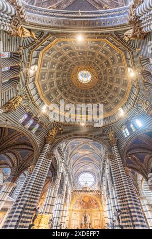 Siena, Italien; 22. Juni 2024 - Inneres der Kathedrale von Siena, Toskana, Italien Stockfoto