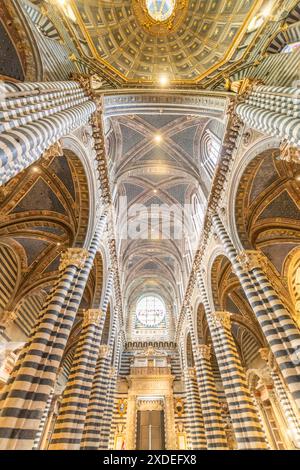 Siena, Italien; 22. Juni 2024 - Inneres der Kathedrale von Siena, Toskana, Italien Stockfoto