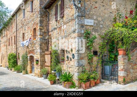 Castello di Monteriggioni, Toskana, Italien; 19. Juni 2024 - Monteriggioni ist eine kleine mittelalterliche Stadt im Herzen der Toskana, Italien Stockfoto