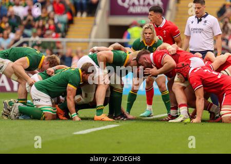 London, Großbritannien. Juni 2024. London, England, Samstag, 22. Juni 2024: FAF de Klerk (Südafrika 9 – Canon Eagles) macht sich bereit, den Ball beim Qatar Airways Cup Spiel zwischen Südafrika und Wales im Twickenham Stadium in London, England am Samstag, den 22. Juni 2024, in den Griff zu bekommen. (Claire Jeffrey/SPP) Credit: SPP Sport Press Photo. /Alamy Live News Stockfoto