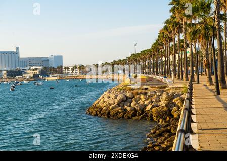 Ein Fischer bereitet seine Ausrüstung am Meer in Sunrisein Cádiz, Spanien, vor Stockfoto