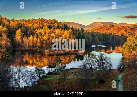 Tarn zeigt Herbstfarben bei Sonnenuntergang. Stockfoto