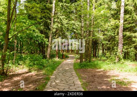 Ein Steinparkweg führt zum Pavillon. Ein Spaziergang durch den Park. Stockfoto