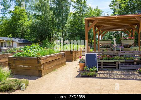 Verkauf von Gemüsesämlingen auf einer Bio-Farm. Pflanzen in Töpfen in der Nähe von Hochbeeten Stockfoto