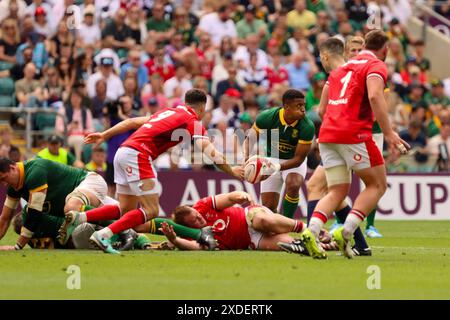 London, Großbritannien. Juni 2024. London, England, Samstag, 22. Juni 2024: Grant Williams (South Africa 21 – Stormers) macht einen Pass während des Qatar Airways Cup-Spiels zwischen Südafrika und Wales im Twickenham Stadium in London, England am Samstag, den 22. Juni 2024. (Claire Jeffrey/SPP) Credit: SPP Sport Press Photo. /Alamy Live News Stockfoto