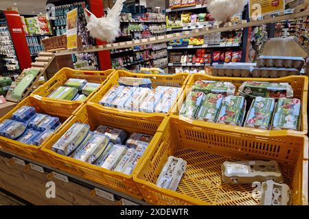 Altenkirchen Themenfoto: Konsum, Versorgung, Supermarkt, Einkauf, Lebensmittel, 20.06.2024 Regal mit frischen Eiern in einem REWE-Supermarkt Themenfoto: Konsum, Versorgung, Supermarkt, Einkauf, Lebensmittel, 20.06.2024 *** Altenkirchen Themen Fotokonsum, Versorgung, Supermarkt, Einkaufen, Essen, 20 06 2024 Regal mit frischen Eiern in einem REWE Supermarkt Thema Fotokonsum, Versorgung, Supermarkt, Einkaufen, Essen, 20 06 2024 Copyright: xAugstx/xEibner-Pressefotox EP jat Stockfoto