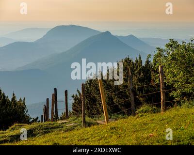 Almwiesen mit Stacheldraht auf Holzpfählen als Weidezaun vor Bergkiefern, hinter dem Gaisberg, Schlenken, Bad Vigaun, Salzburg Stockfoto