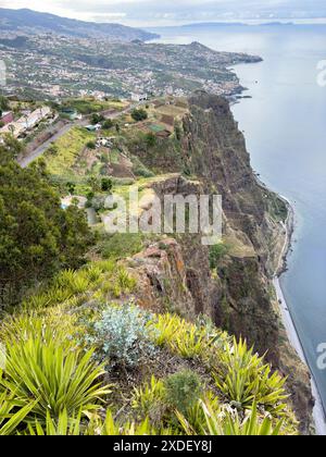 Blick auf Funchal, Madeira, Portugal vom Cabo Girao Skywalk Stockfoto