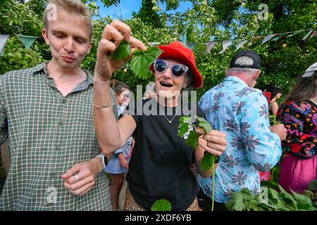 Waytown, Dorset, Großbritannien. Juni 2024. Teilnehmer, die von einer begeisterten Menschenmenge beobachtet werden, nehmen an der jährlichen Weltmeisterschaft der Brennnessel Eating auf der Dorset Nectar Cider Farm in Waytown in Dorset Teil. Ziel des Wettbewerbs ist es, die Blätter von vielen zwei Fuß großen Brennnesselstielen so schnell wie möglich in 30 Minuten zu essen, die von Cidre heruntergespült werden. Bildnachweis: Graham Hunt/Alamy Live News Stockfoto