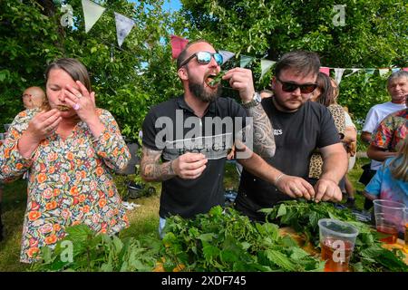 Waytown, Dorset, Großbritannien. Juni 2024. Teilnehmer, die von einer begeisterten Menschenmenge beobachtet werden, nehmen an der jährlichen Weltmeisterschaft der Brennnessel Eating auf der Dorset Nectar Cider Farm in Waytown in Dorset Teil. Ziel des Wettbewerbs ist es, die Blätter von vielen zwei Fuß großen Brennnesselstielen so schnell wie möglich in 30 Minuten zu essen, die von Cidre heruntergespült werden. Bildnachweis: Graham Hunt/Alamy Live News Stockfoto