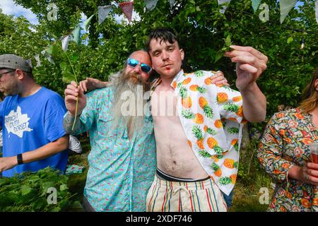 Waytown, Dorset, Großbritannien. Juni 2024. Teilnehmer, die von einer begeisterten Menschenmenge beobachtet werden, nehmen an der jährlichen Weltmeisterschaft der Brennnessel Eating auf der Dorset Nectar Cider Farm in Waytown in Dorset Teil. Ziel des Wettbewerbs ist es, die Blätter von vielen zwei Fuß großen Brennnesselstielen so schnell wie möglich in 30 Minuten zu essen, die von Cidre heruntergespült werden. Bildnachweis: Graham Hunt/Alamy Live News Stockfoto