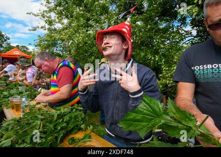 Waytown, Dorset, Großbritannien. Juni 2024. Teilnehmer, die von einer begeisterten Menschenmenge beobachtet werden, nehmen an der jährlichen Weltmeisterschaft der Brennnessel Eating auf der Dorset Nectar Cider Farm in Waytown in Dorset Teil. Ziel des Wettbewerbs ist es, die Blätter von vielen zwei Fuß großen Brennnesselstielen so schnell wie möglich in 30 Minuten zu essen, die von Cidre heruntergespült werden. Bildnachweis: Graham Hunt/Alamy Live News Stockfoto