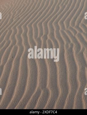 Nahaufnahme von windgeformten Sandmustern am Arher Beach, Socotra, Jemen, die die natürliche Schönheit und die komplizierten Designs der Wüstenwinde zeigen Stockfoto