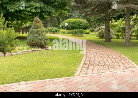 Ein schöner und gepflegter Park mit Tannen- und Blumenpfaden. Hochwertige Fotos Stockfoto