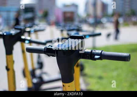 Eine Sammlung von gelben und schwarzen Motorrollern ist ordentlich auf einem grasbewachsenen Gebiet angeordnet Stockfoto