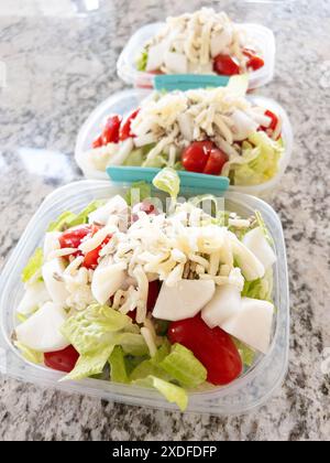 Frische Salatmahlzeiten in Behältern für gesunde Ernährung Stockfoto