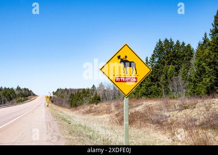 Elchwarnschild auf dem Trans Canada Highway in Aulac, New Brunswick, Kanada Stockfoto