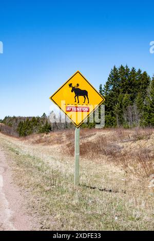 Elchwarnschild auf dem Trans Canada Highway in Aulac, New Brunswick, Kanada Stockfoto