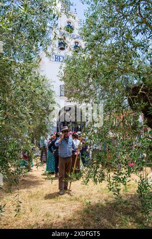 Pferdekutschen und Kutschen durch die Sümpfe des Nationalparks Doñana während der jährlichen Pilgerfahrt zum Dorf El Rocio in Almonte Stockfoto