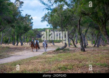 Pferdekutschen und Kutschen durch die Sümpfe des Nationalparks Doñana während der jährlichen Pilgerfahrt zum Dorf El Rocio Stockfoto