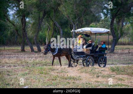 Pferdekutschen und Kutschen durch die Sümpfe des Nationalparks Doñana während der jährlichen Pilgerfahrt zum Dorf El Rocio Stockfoto