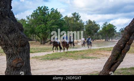 Pferdekutschen und Kutschen durch die Sümpfe des Nationalparks Doñana während der jährlichen Pilgerfahrt zum Dorf El Rocio Stockfoto