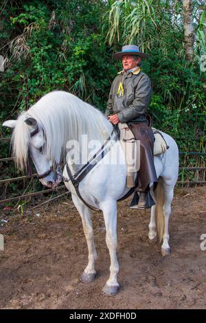 Pferdekutschen und Kutschen durch die Sümpfe des Nationalparks Doñana während der jährlichen Pilgerfahrt zum Dorf El Rocio in Almonte Stockfoto