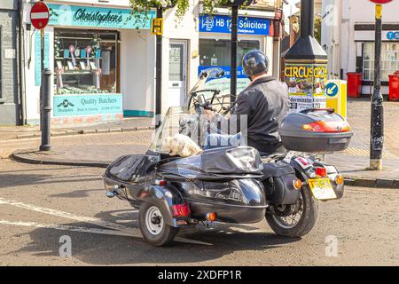 Stourport-on-Severn, Großbritannien. Juni 2024. Wetter in Großbritannien: Ein Hund in einem Motorrad-Beiwagen genießt mit seinem Besitzer eine sehr warme Nachmittagssonne, während er auf der Hauptstraße von Stourport-on-Severn, einem beliebten Tagesausflug ins Binnenland und Urlaubsziel in den Midlands, fährt. Quelle: Lee Hudson/Alamy Live News Stockfoto