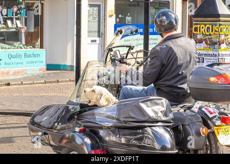 Stourport-on-Severn, Großbritannien. Juni 2024. Wetter in Großbritannien: Ein Hund in einem Motorrad-Beiwagen genießt mit seinem Besitzer eine sehr warme Nachmittagssonne, während er auf der Hauptstraße von Stourport-on-Severn, einem beliebten Tagesausflug ins Binnenland und Urlaubsziel in den Midlands, fährt. Quelle: Lee Hudson/Alamy Live News Stockfoto