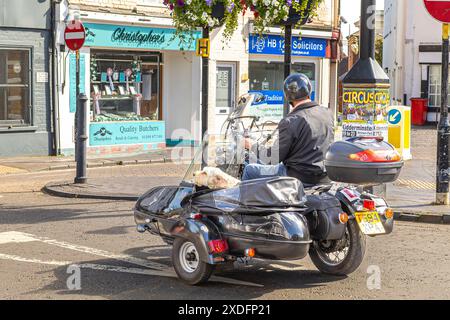 Stourport-on-Severn, Großbritannien. Juni 2024. Wetter in Großbritannien: Ein Hund in einem Motorrad-Beiwagen genießt mit seinem Besitzer eine sehr warme Nachmittagssonne, während er auf der Hauptstraße von Stourport-on-Severn, einem beliebten Tagesausflug ins Binnenland und Urlaubsziel in den Midlands, fährt. Quelle: Lee Hudson/Alamy Live News Stockfoto