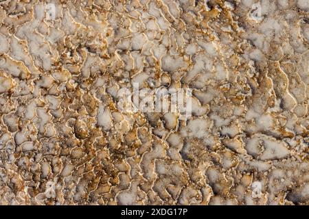 Eine Nahaufnahme der Details und Textur des wunderschönen weißen Travertins von Pamukkale in Türkiye, hoch auf einem Hügel in der Nähe der antiken Stadt Hierapolis. Stockfoto