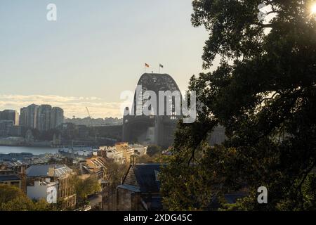 Sydney Harbour vom Observatory Park bis zur Gegend um Sydney Rocks und North Sydney Stockfoto