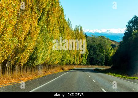 Masterton Castlepoint Road - Neuseeland Stockfoto