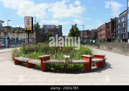 Castlegate Grey to Green Park Sheffield Stadtzentrum England Großbritannien, Innenstadtgrün öffentlicher Garten Pflanzen städtische Umwelt Nachhaltigkeit Biodiversität Stockfoto