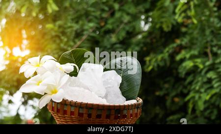 Ein Korb, gefüllt mit weißen Alaun-Kristallen, sitzt auf einem leuchtend grünen Strauchhintergrund. Die Kontrastfarben heben die Reinheit des Alaums gegenüber dem hervor Stockfoto