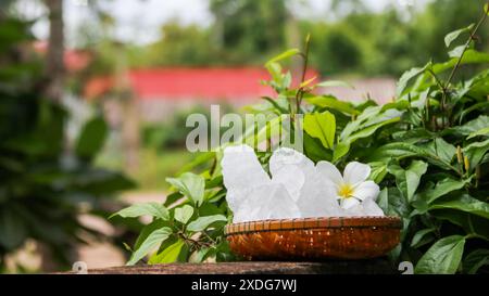 Ein Korb, gefüllt mit weißen Alaun-Kristallen, sitzt auf einem leuchtend grünen Strauchhintergrund. Die Kontrastfarben heben die Reinheit des Alaums gegenüber dem hervor Stockfoto