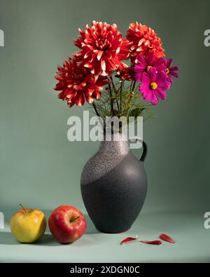 Rote Dahlien in einem Keramikkrug auf dem Tisch. Zwei Äpfel Stockfoto