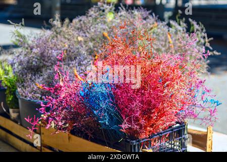 Vielfalt von Pflanzen, die in einer Kiste ordentlich angeordnet sind. Bunte Anordnung von Blumen in einem Korb. Die Blumen sind rosa, blau und lila. Der Korb ist auf einem Arbeitsauftrag Stockfoto