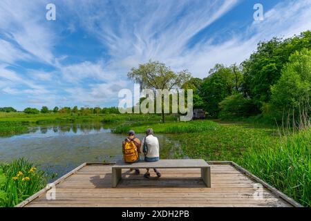 Moderne Skulpturen im Jupiter Artland in Edinburgh, Schottland, Großbritannien Stockfoto