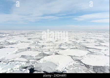 23. Februar 2024: Abashiri, Hokkaido, Japan: Ein Flickenteppich aus Eisschollen, die im Okhotsk-Meer bei Abashiri in Hokkaido in Japan gepackt sind. Stockfoto