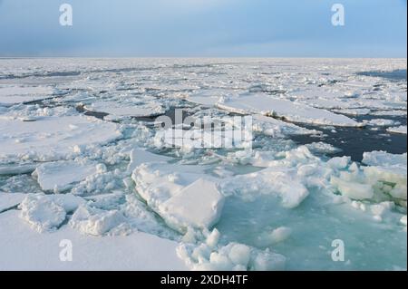 23. Februar 2024 - Abashiri, Hokkaido, Japan: Ein Blick auf die treibenden Eisschollen, die sich auf dem Ochotsk-Meer in der Nähe von Abashiri in Hokkaido im Norden J bilden Stockfoto