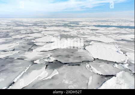 23. Februar 2024: Abashiri, Hokkaido, Japan: Im Okhotsk-Meer bei Abashiri in Hokkaido, Nordjapan, bilden Eisschollen. Stockfoto