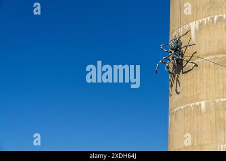 Urana, New South Wales, Australien, 22. Juni 2024: Die zweitgrößte Spinnenskulptur der Welt von Andrew Whitehead Stockfoto