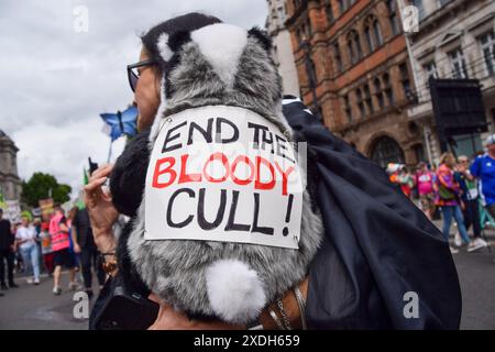 22. Juni 2024, London, England, Großbritannien: Ein Demonstrant fordert ein Ende der Dachsschlachtung während des Restore Nature Now march. Zehntausende von Menschen und zahlreiche Natur- und Wildtiergruppen marschierten im Zentrum Londons und forderten die Regierung auf, mehr für die Wiederherstellung und den Schutz der Natur und der Tierwelt zu tun. (Kreditbild: © Vuk Valcic/ZUMA Press Wire) NUR REDAKTIONELLE VERWENDUNG! Nicht für kommerzielle ZWECKE! Stockfoto