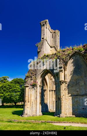 Einige der Ruinen der Glastonbury Abbey haben jetzt eine farbenfrohe Ergänzung von roten Baldrianblüten im Sommer, Somerset, England, Großbritannien Stockfoto