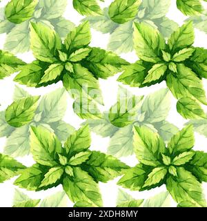 Aquarell frische Minzblätter, Sommerkraut für erfrischendes Getränk, Tee, Cocktails, nahtloses Muster mit Lebensmittelillustration, handgezeichnete Skizze von Flavo Stockfoto